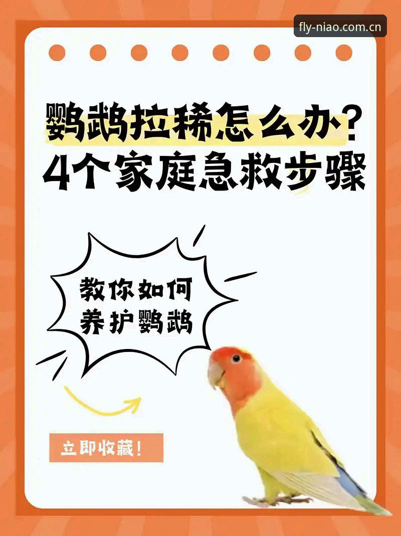 小鸟体育更新后总出问题？这些常见故障与解决方案你知道吗？